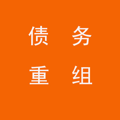 顺河回族个人债务重组优化